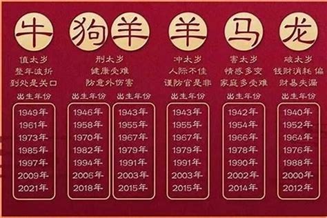 属狗的今年几岁|生肖狗今年多大年龄2024 2024年属狗的多大